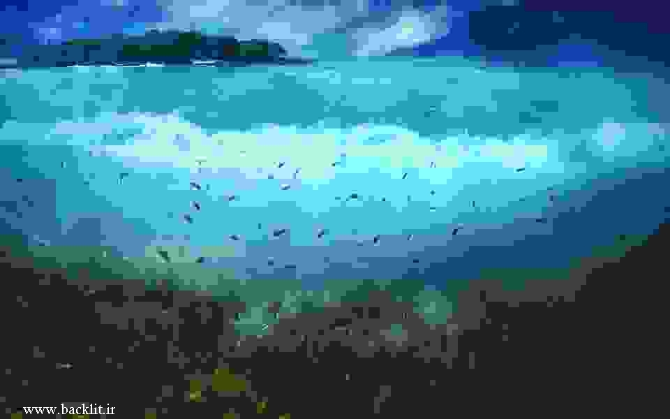 2797